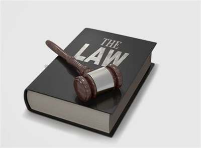 Michael L Chidester, P.C., Personal Injury Lawyer in Byron, GA