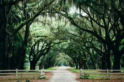 O'Brien Law Firm PC, Criminal Defense Lawyer in Savannah, GA