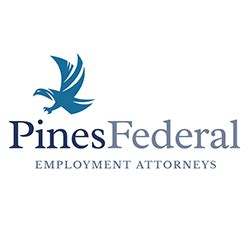 Pines Federal Employment Attorneys, Employment & Discrimination Lawyer in Atlanta, GA