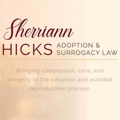 Sherriann Hicks Adoption Surrogacy & Family Law, Divorce & Family Lawyer in Lawrenceville, GA