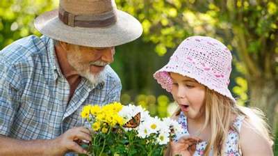 The Mead Law Firm, LLC | Estate Planning Attorney in Tucker GA, Estate & Elder Law Attorney in Tucker, GA